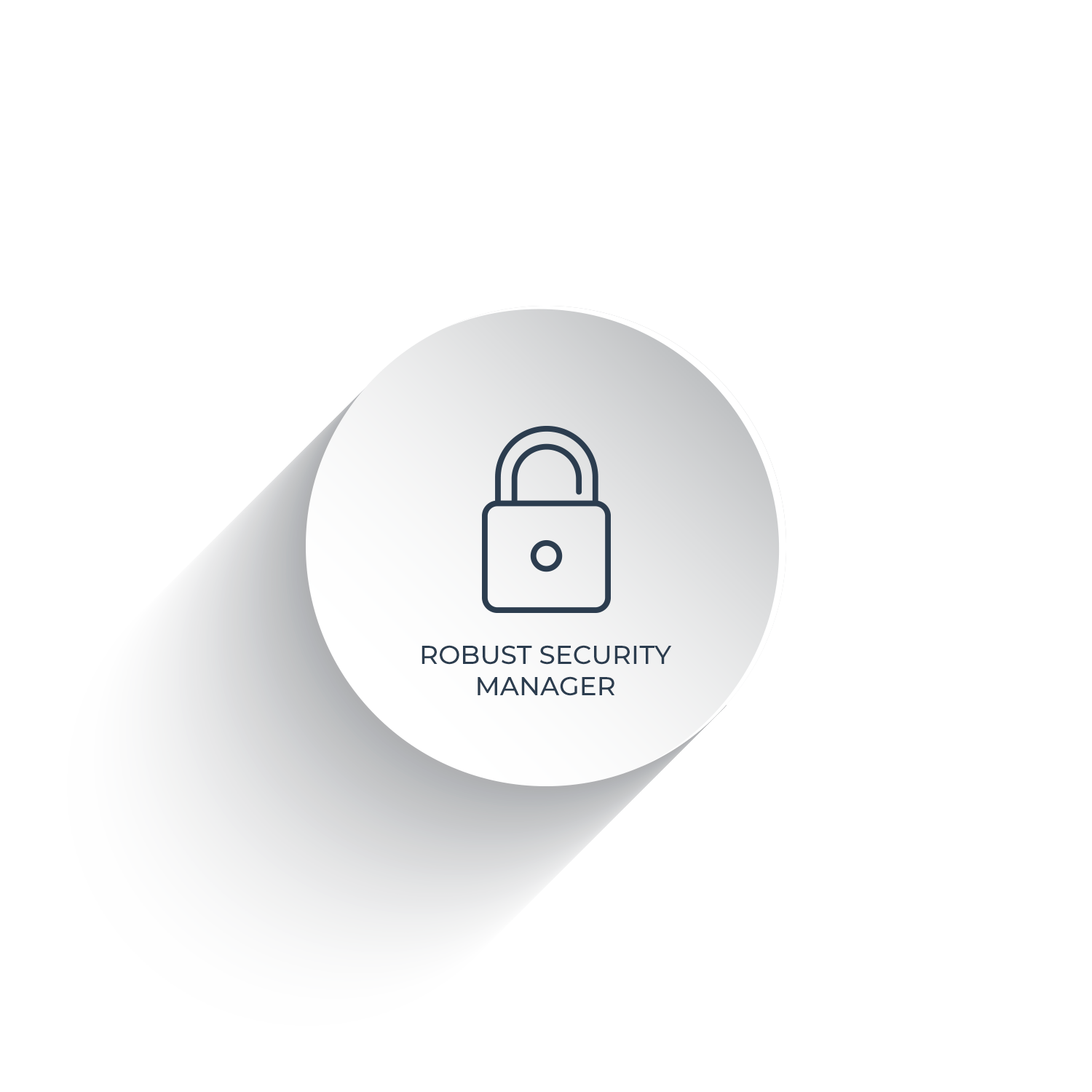 Robost Security Manager