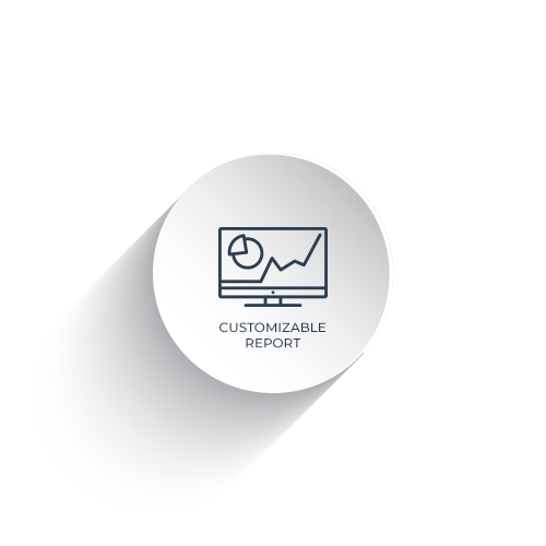Customizable Report Customizable Report